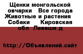 Щенки монгольской овчарки - Все города Животные и растения » Собаки   . Кировская обл.,Леваши д.